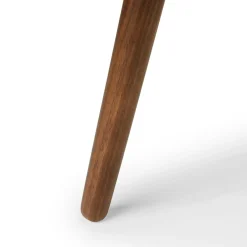 Amoeba 35