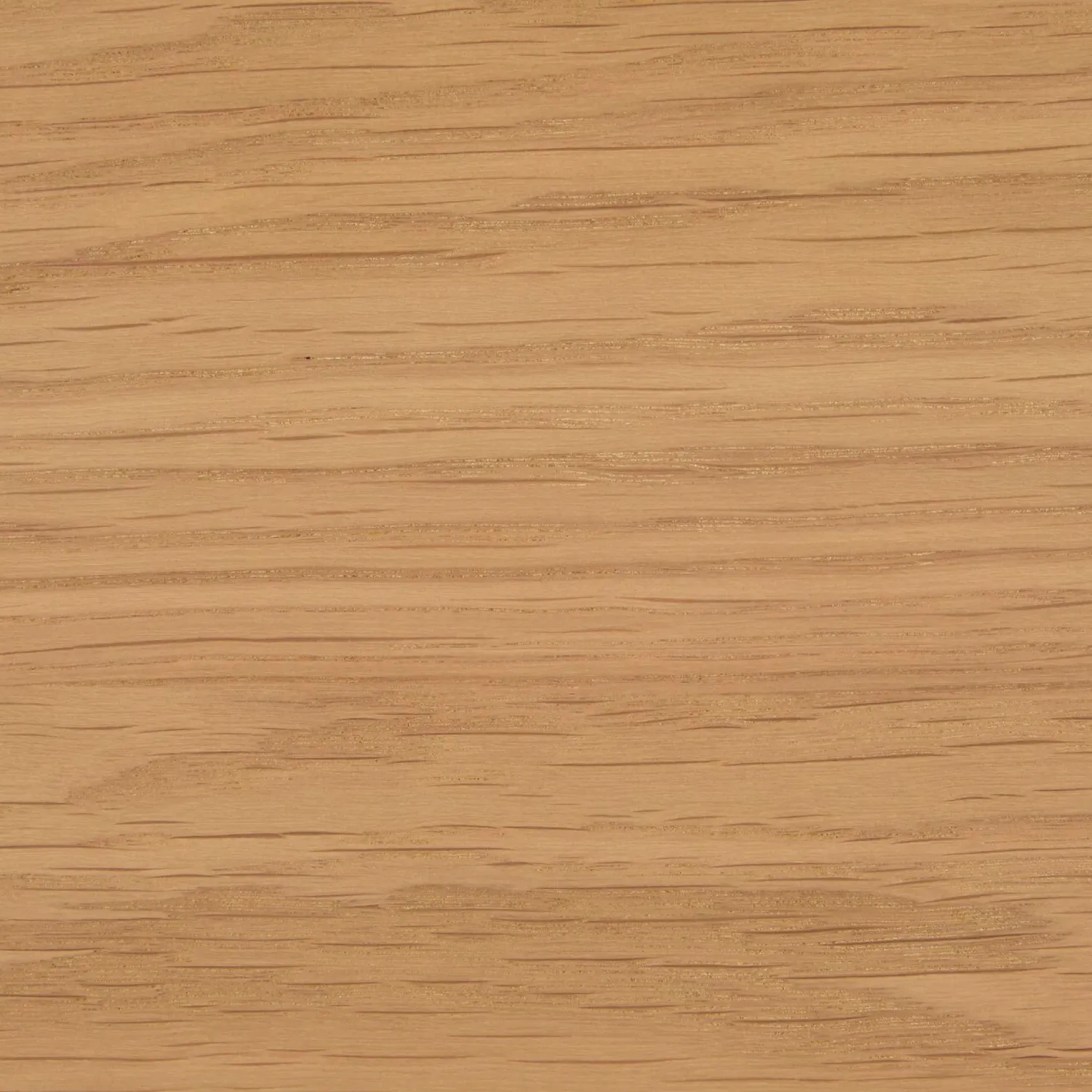 Basi Queen Bed Frame - Oak