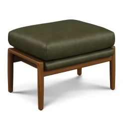 Bavel 28.5" Leather Lounge Set - Walnut and Charme Green