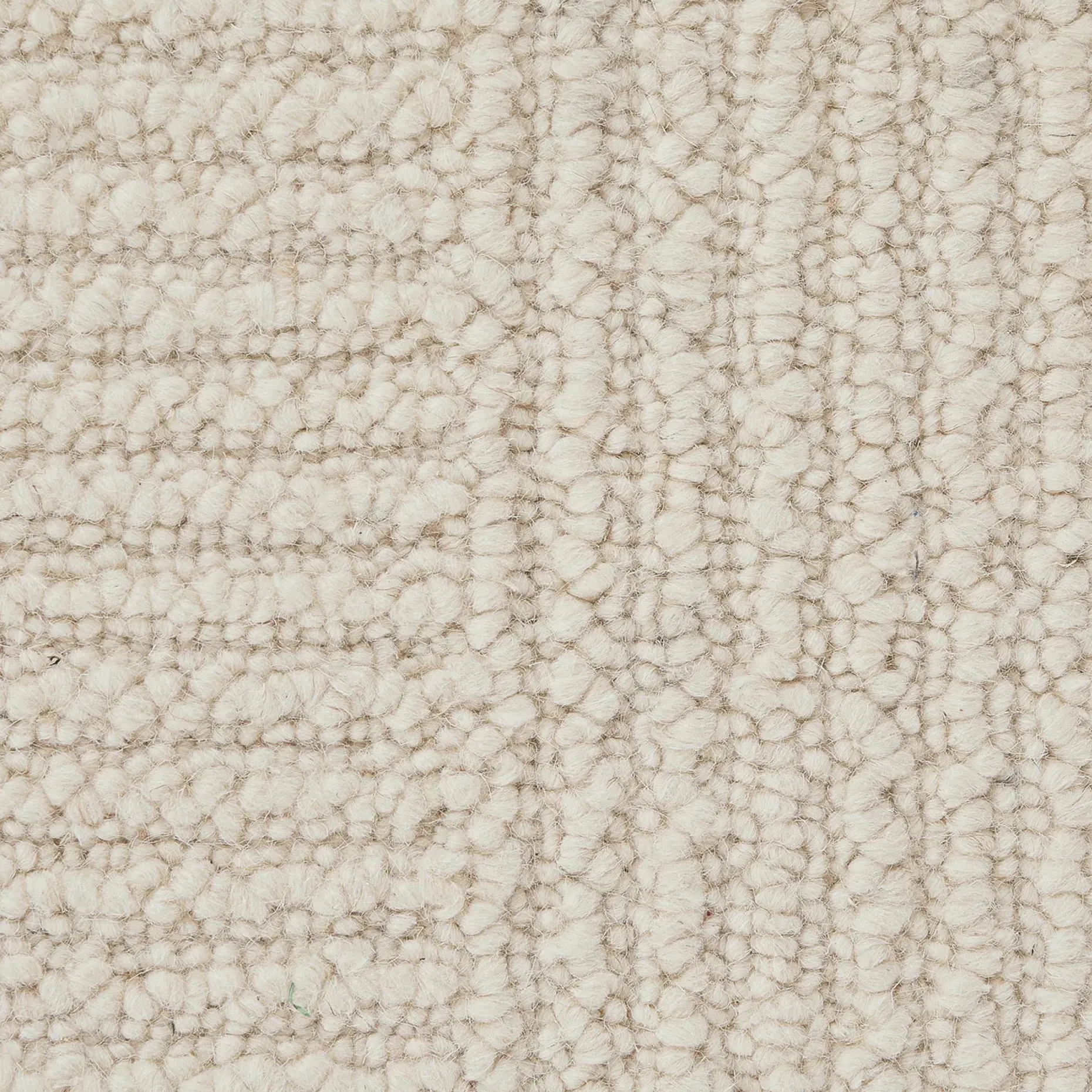 Clyde 8 x 10 Wool Rug - Textured Ivory