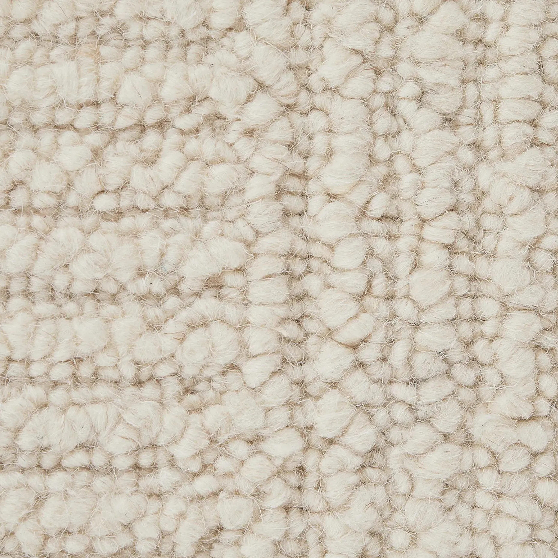 Clyde 9 x 12 Wool Rug - Textured Ivory