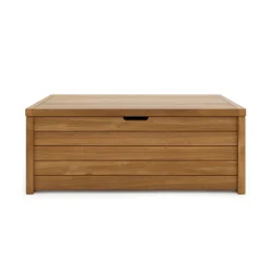 Cove 47" Outdoor Storage Trunk - Acacia