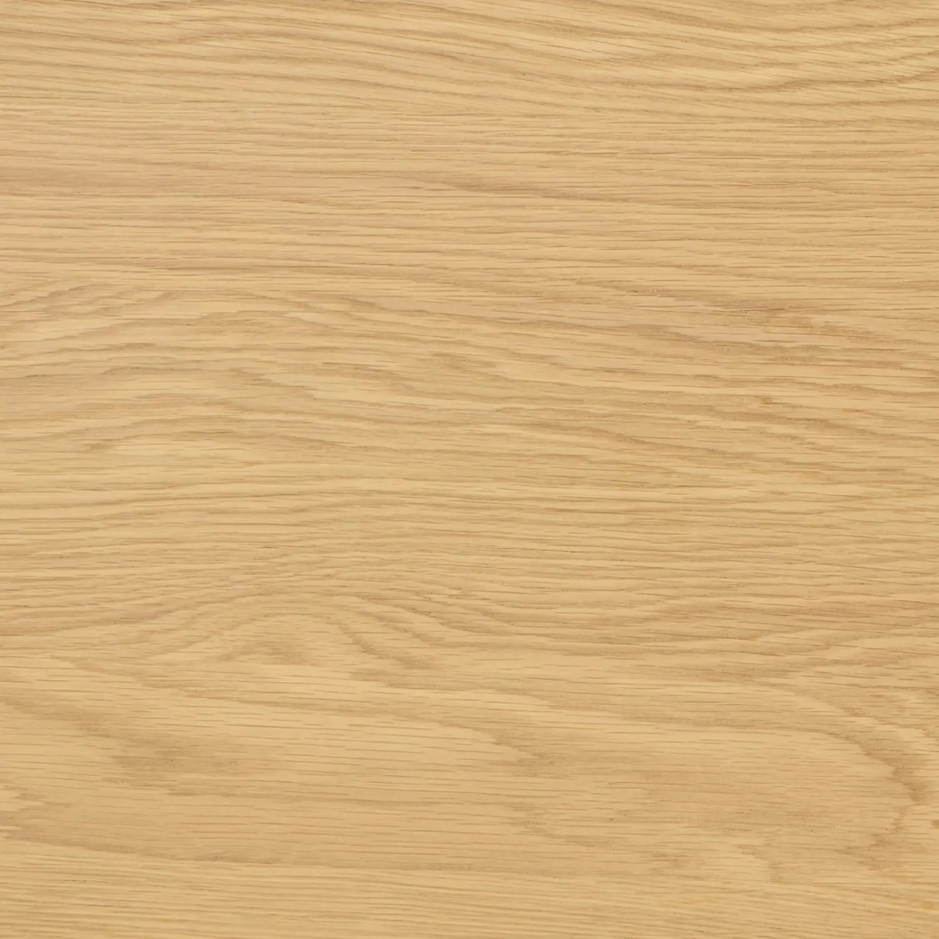 Dako 61" Bench - Natural Oak