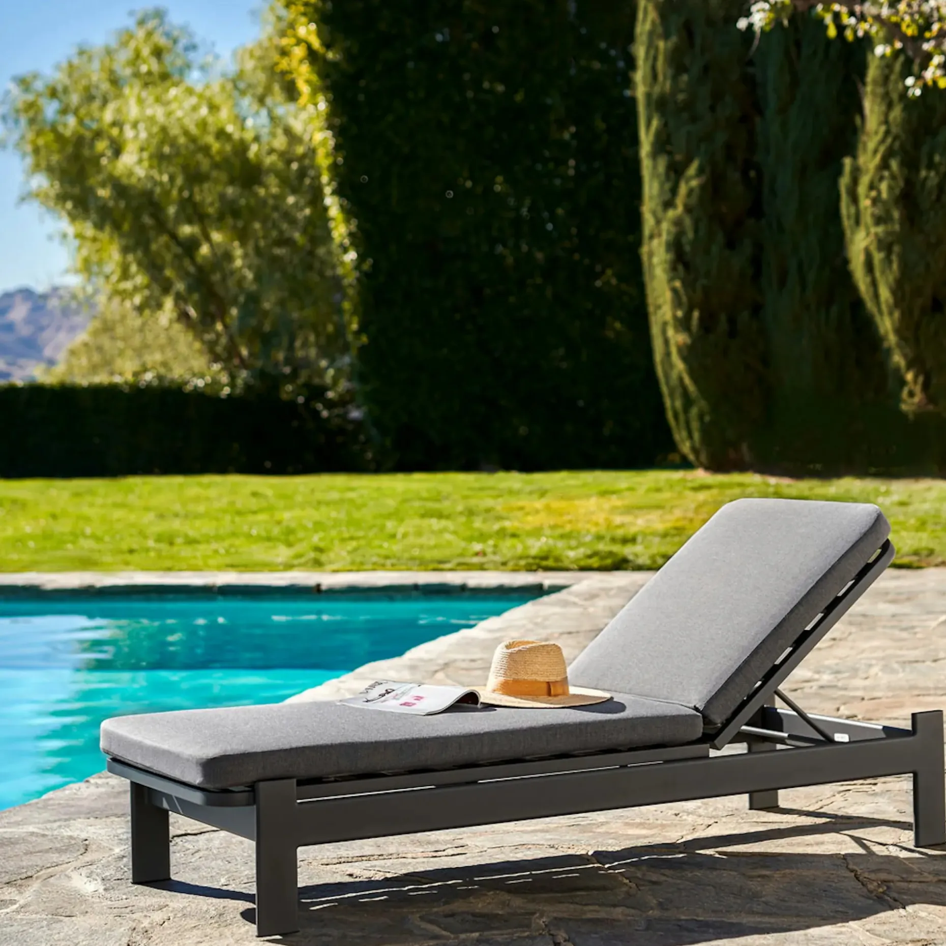 Eleya 78" Outdoor Chaise Lounge - Stega Gray