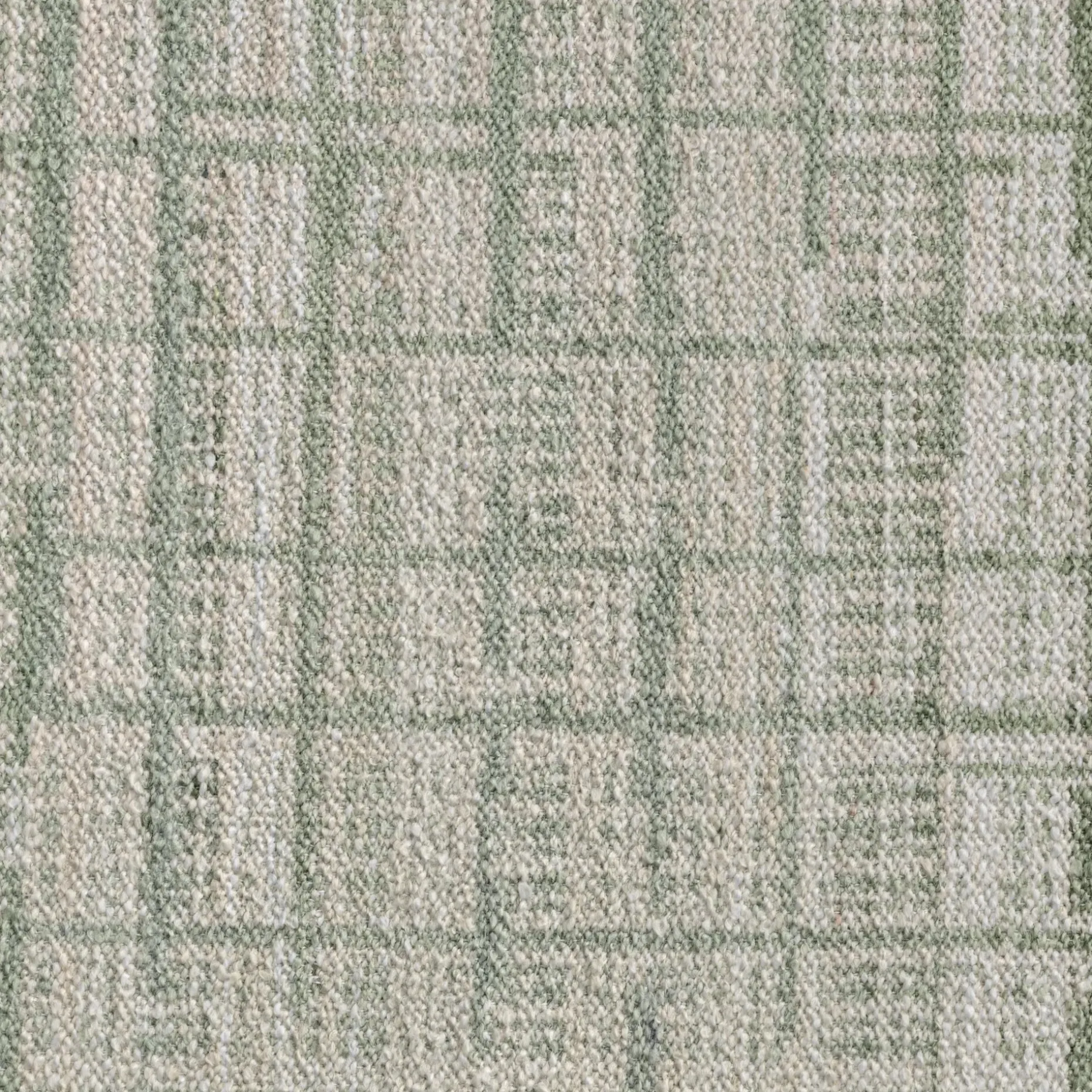 Erina 8 x 10 Indoor/Outdoor Rug - Textured Green