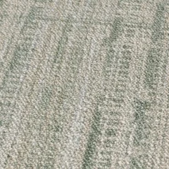 Erina 8 x 10 Indoor/Outdoor Rug - Textured Green