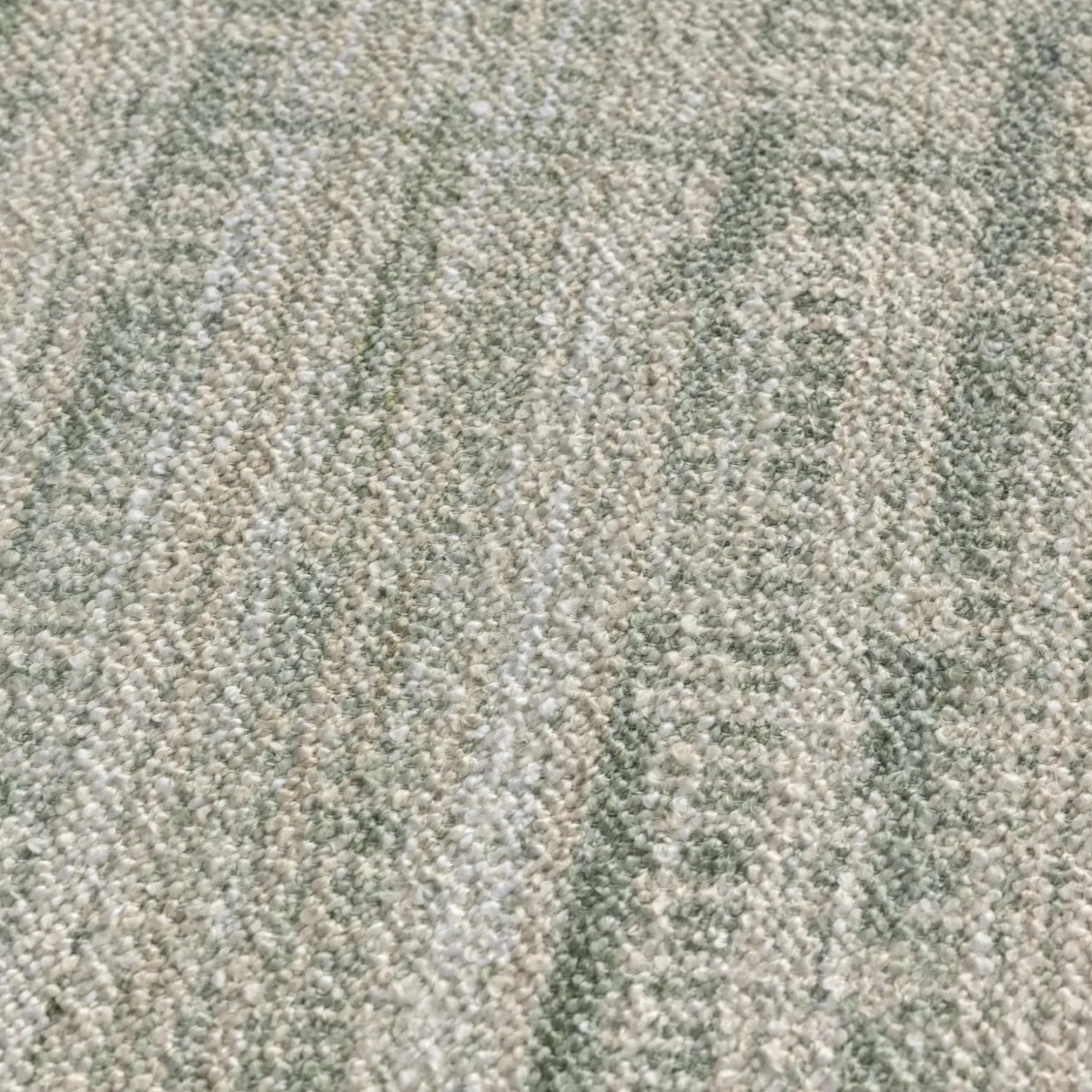 Erina 8 x 10 Indoor/Outdoor Rug - Textured Green