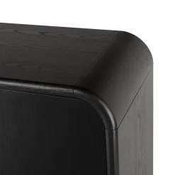 Faydra 35.5" Enclosed Bookcase - Black