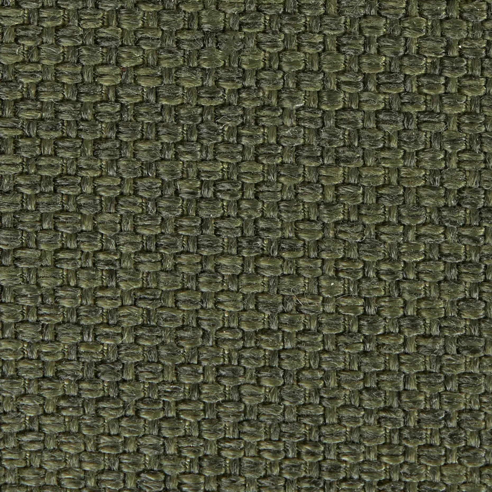 Feast Dining Chair - Vine Green