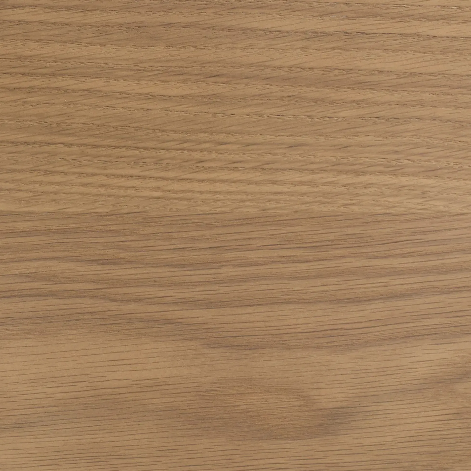 Fortra 50.5" Storage Coffee Table - White Oak