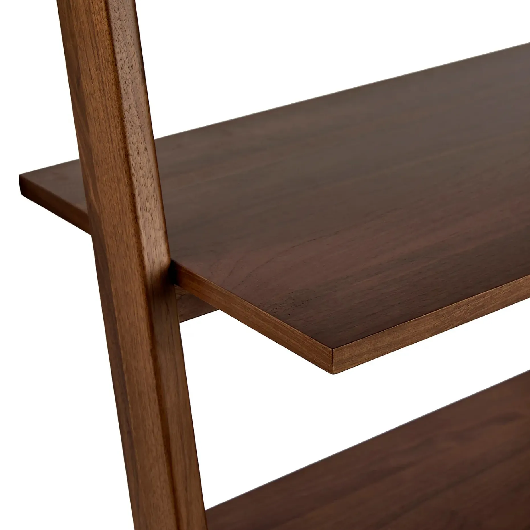 Harles 29.5" Shelving Unit with Storage - Walnut