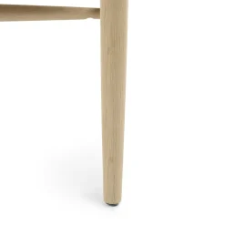 Lenia 39.25