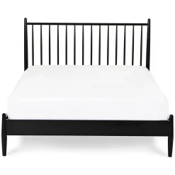 Lenia Queen Bed - Black
