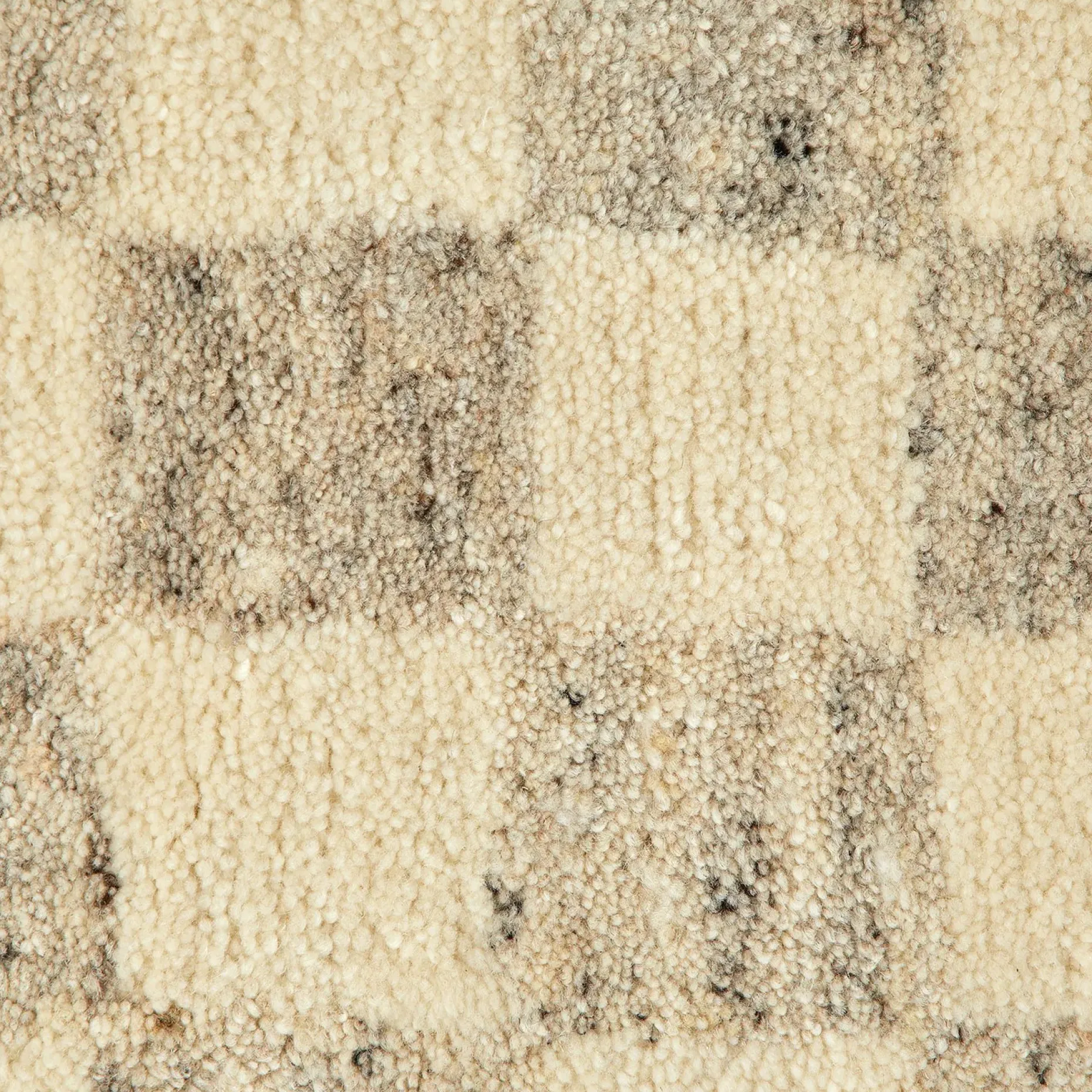Murray 9 x 12 Wool Rug - Checkered Gray