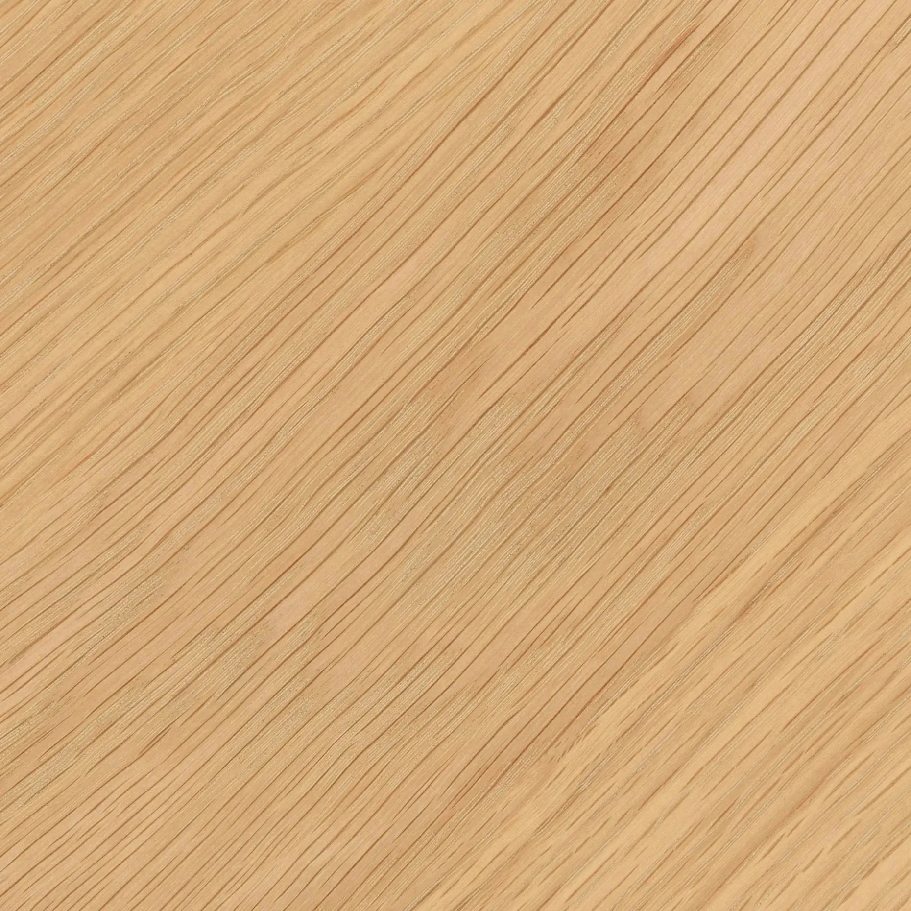 Nera Queen Low Profile Bed - Oak