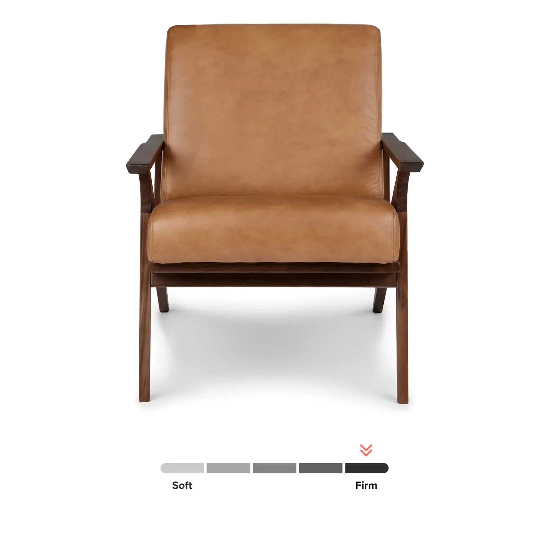 Otio 26" Leather Lounge Chair - Walnut and Toscana Tan