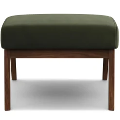 Otio 22" Velvet Ottoman - Walnut and Hale Fir Green