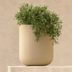 Reya Small Indoor/Outdoor Planter - Limestone Cream