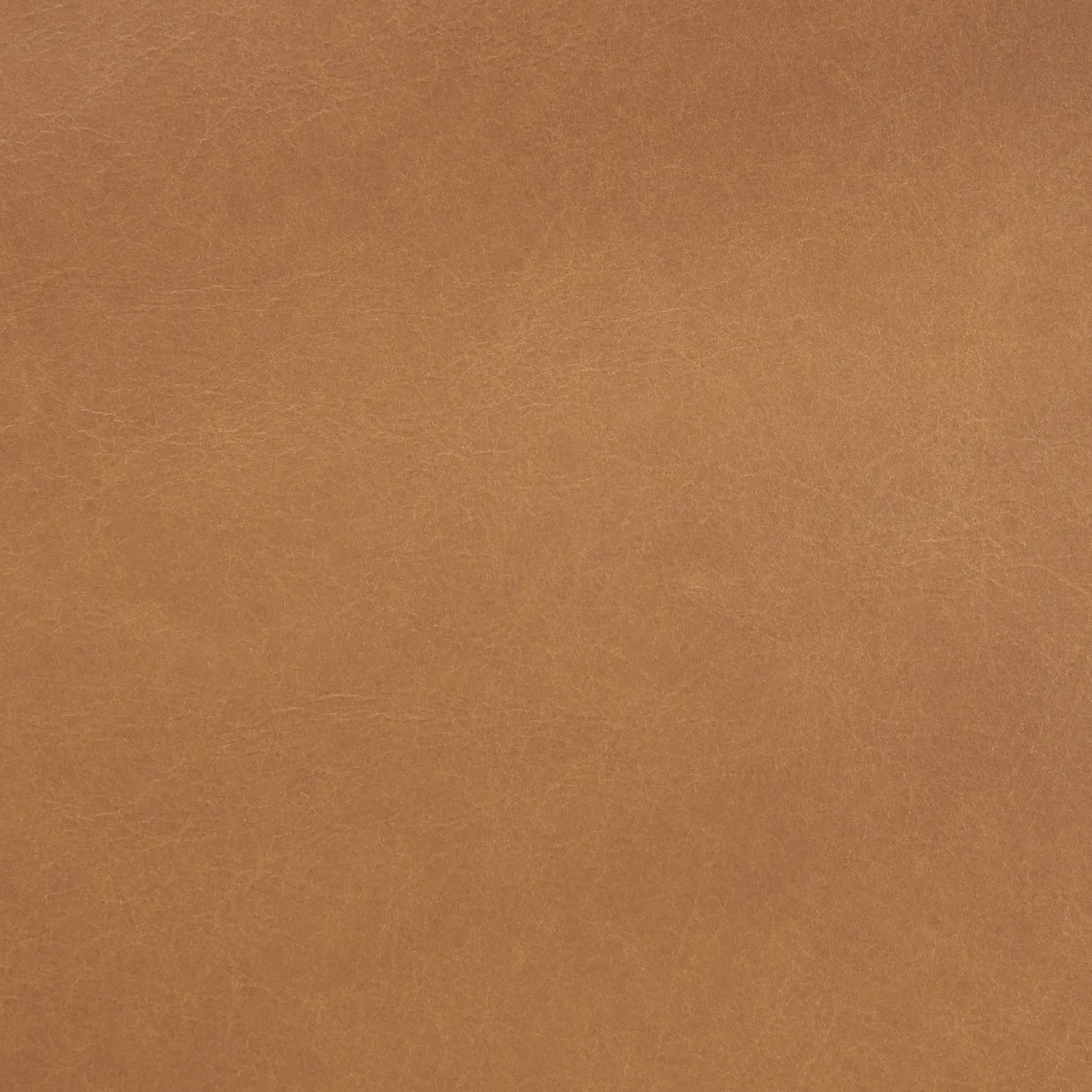 Ripa 59" Leather Bench - Charme Tan