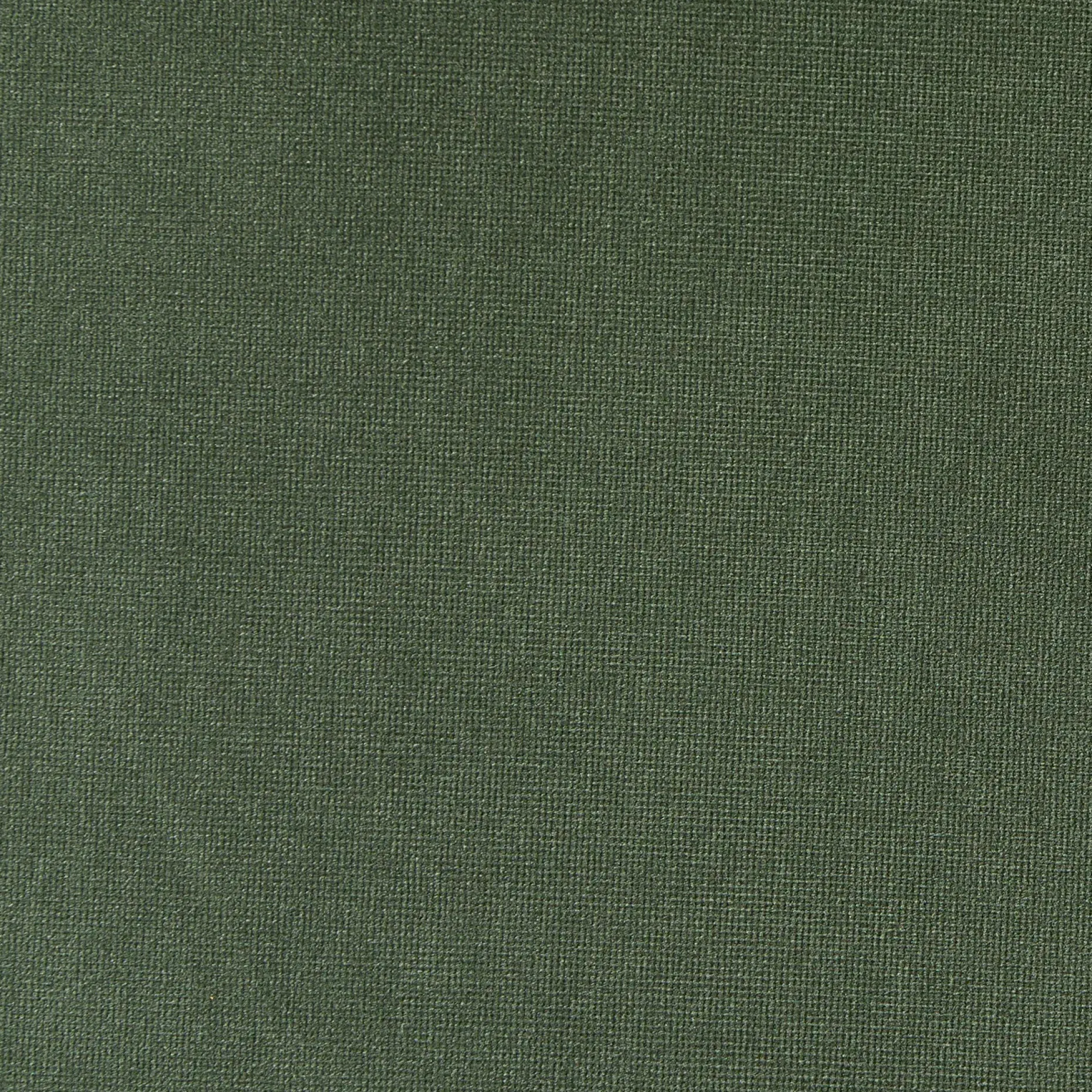 Rolph 55.5" Velvet Storage Bench - Plush Pacific Green