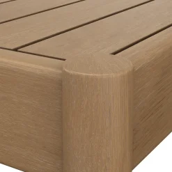 Rosa 65