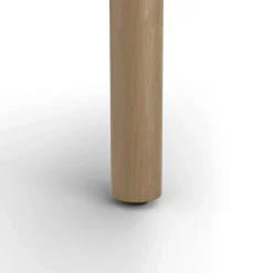 Rosa 47