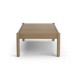 Rosa 110