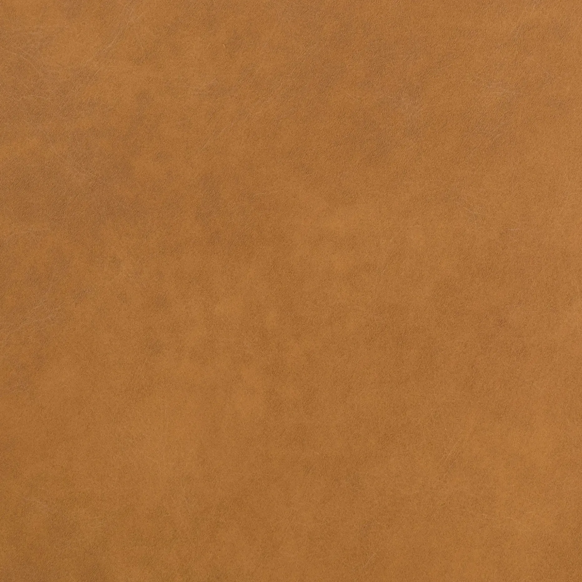 Sede Leather Counter Stool - Walnut and Toscana Tan