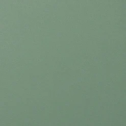 Svelti Dining Chair - Aloe Green