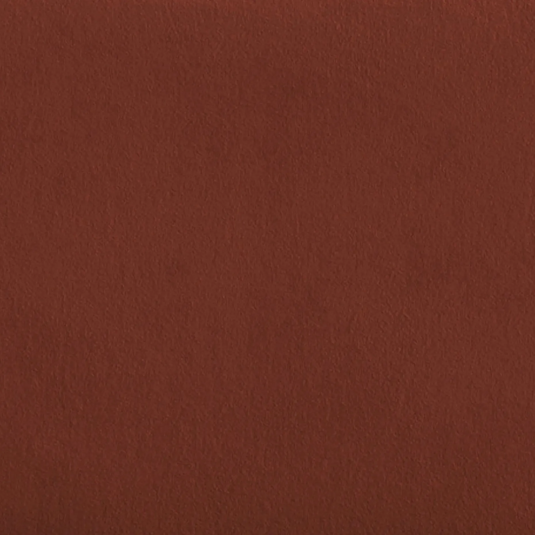 Tessu Twin Low Profile Velvet Bed - Hale Rust
