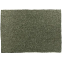 Texa 8 x 10 Rug - Speckled Green