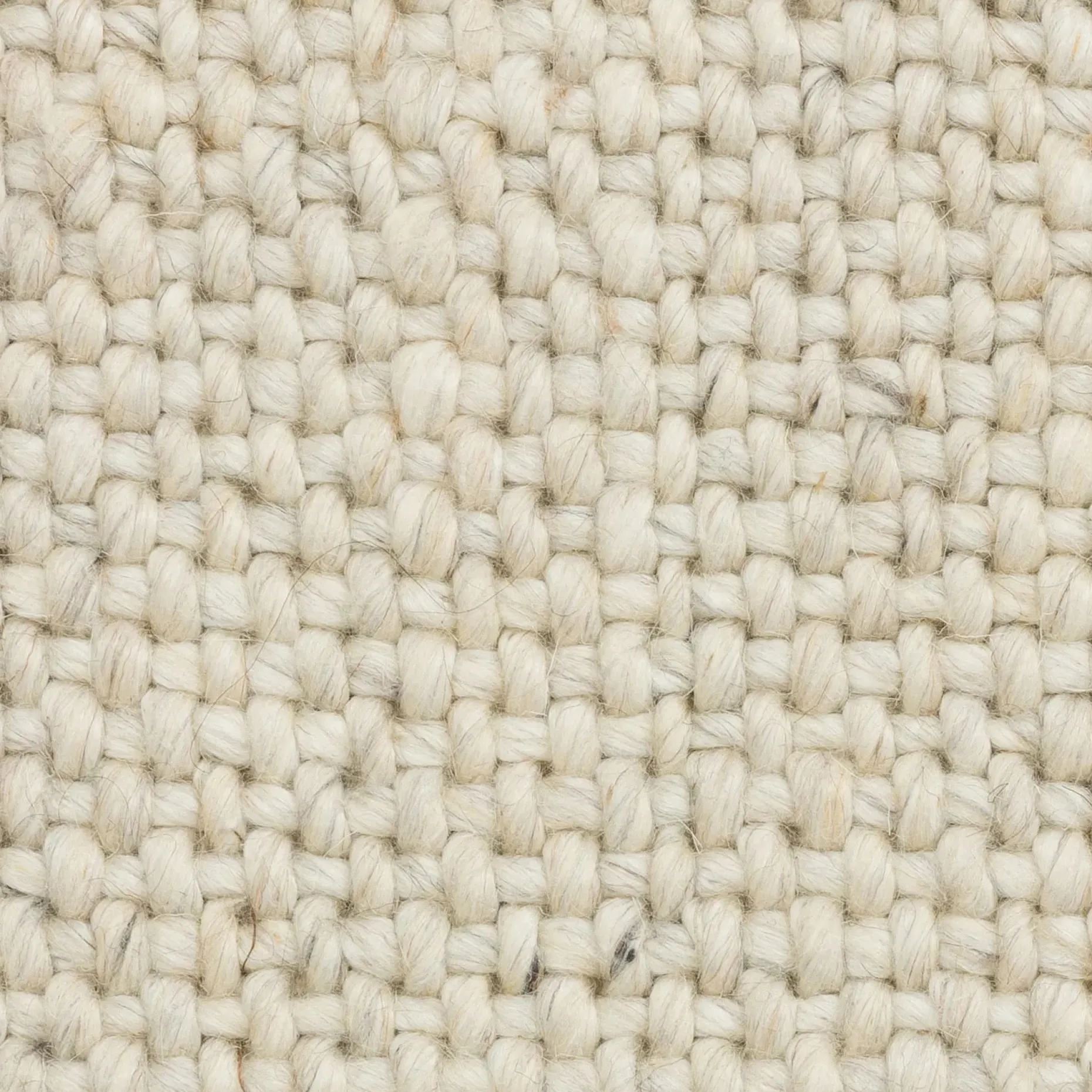 Texa 5 x 8 Rug - Vanilla Ivory