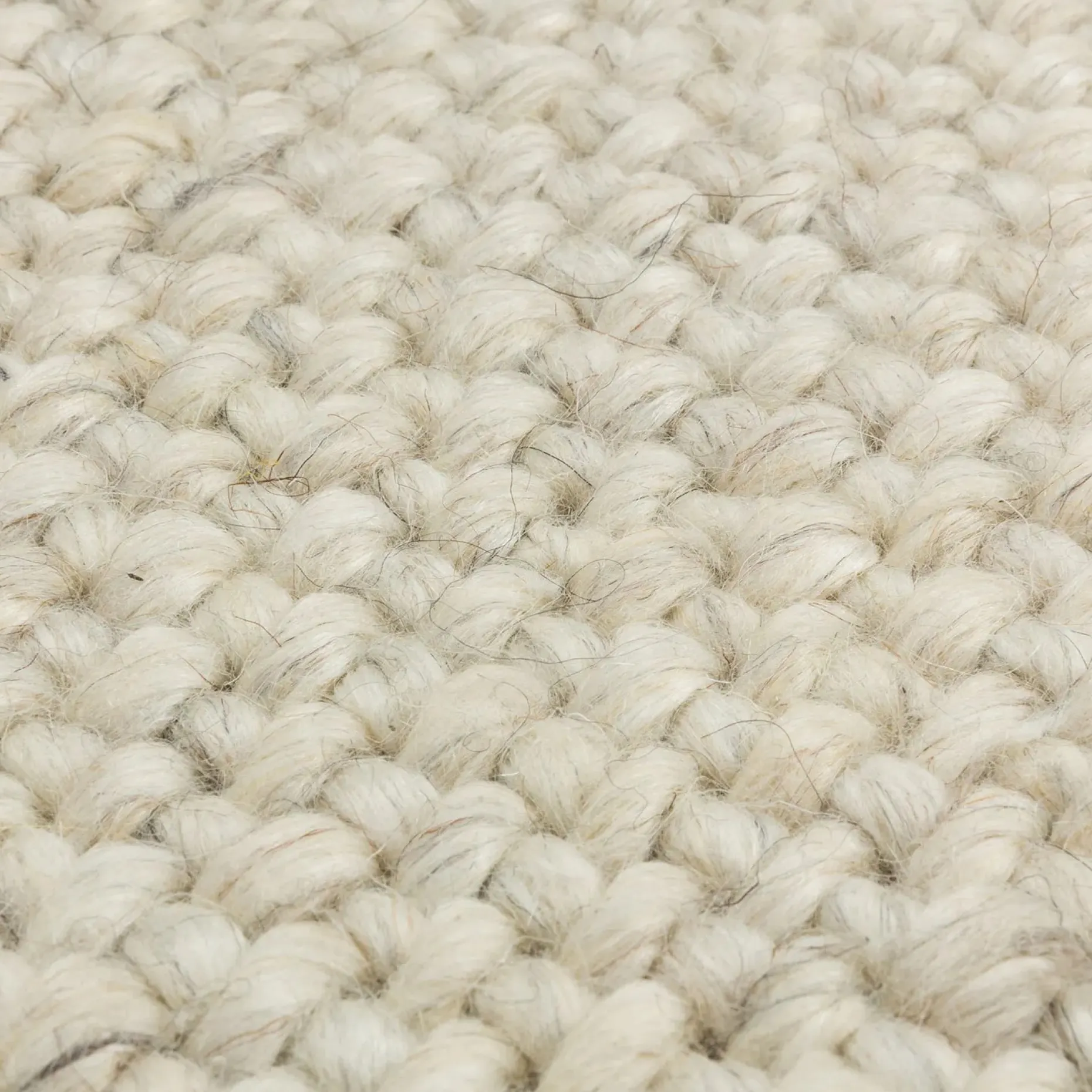 Texa 5 x 8 Rug - Vanilla Ivory