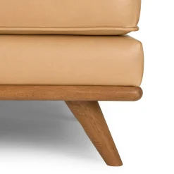 Timber 31
