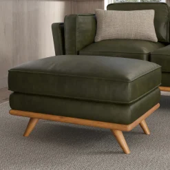 Timber 31