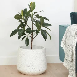 Tuva Indoor/Outdoor Wide Planter - White Terrazzo