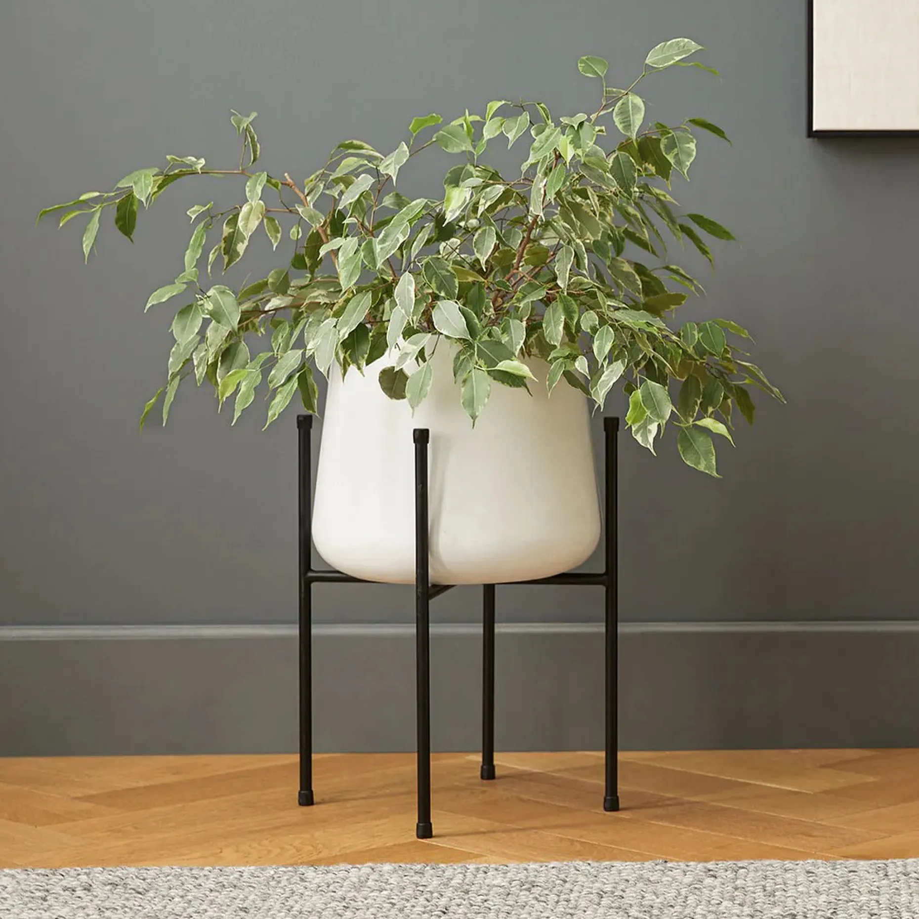 Tuva Narrow Indoor/Outdoor Planter Set - White