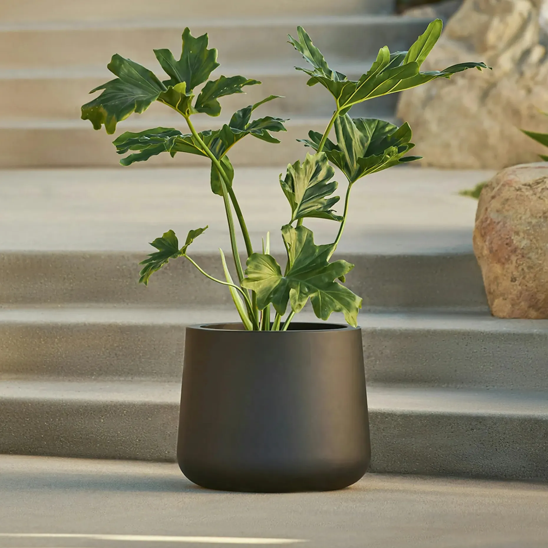 Tuva Wide Indoor/Outdoor Planter - Black